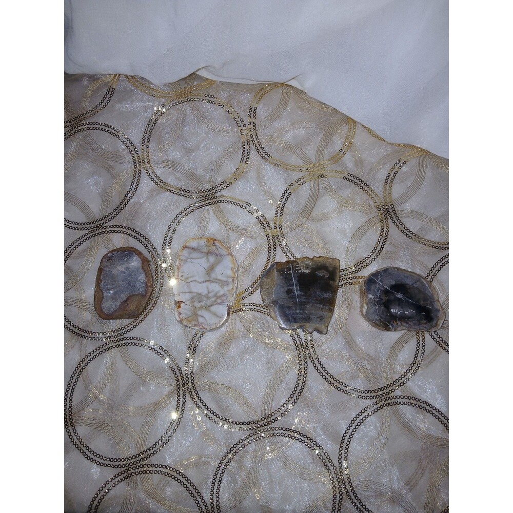 Petrified Wood Slabs